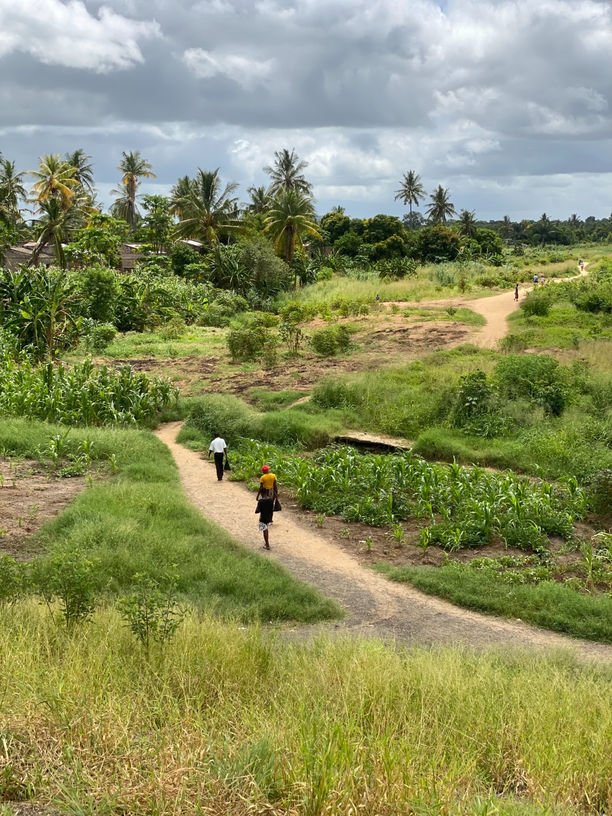 Caminhos e machambas verdes numa comunidade rural